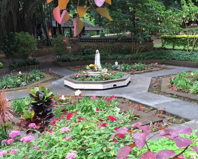 Garden in Portugal